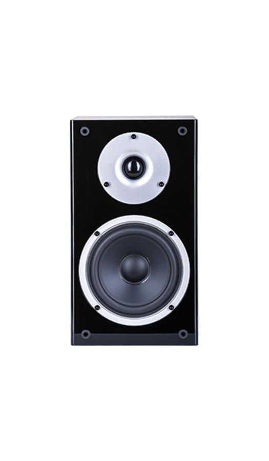Állványra / polcra helyezhető hangsugárzó – RAPTOR 1