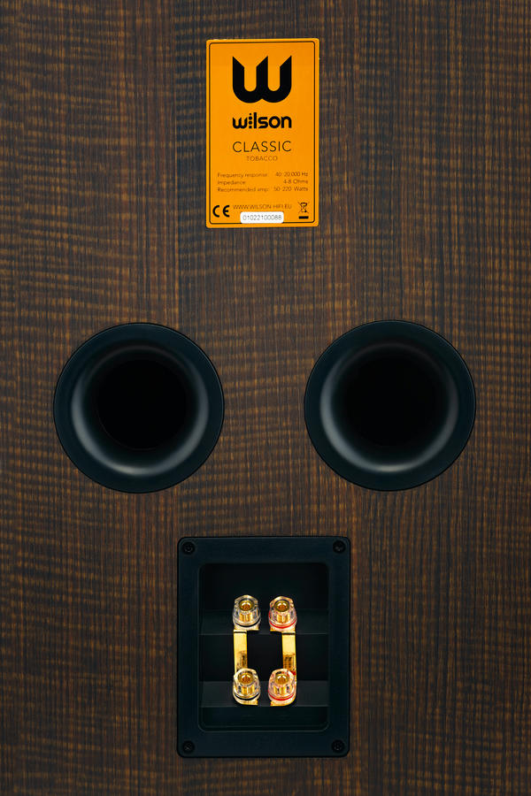 Állványra / polcra helyezhető hangsugárzó – CLASSIC (TOBACCO OAK)